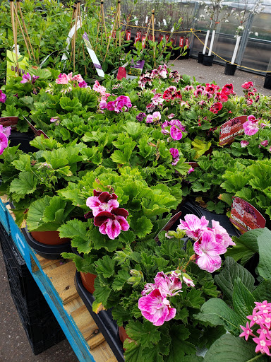 Grocery Store «Marketplace Foods», reviews and photos, 10514 Main St, Hayward, WI 54843, USA