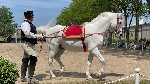 Tourist Attraction «The Tempel Lipizzans», reviews and photos, 17000 W Wadsworth Rd, Old Mill Creek, IL 60083, USA