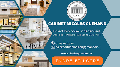 CABINET NICOLAS GUENAND - Expertise Immobilière à Tours