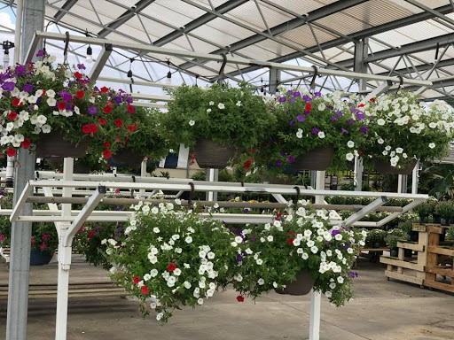 Garden Center «H J Benken Florist & Garden», reviews and photos, 6000 Plainfield Rd, Cincinnati, OH 45213, USA