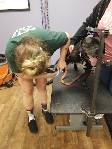 Pet Supply Store «EarthWise Pet Panama City», reviews and photos, 632 W 23rd St, Panama City, FL 32405, USA