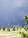 Ash Meadows Park