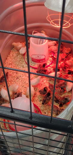 Home Improvement Store «Tractor Supply Co.», reviews and photos, 505 W Central Ave, Springboro, OH 45066, USA