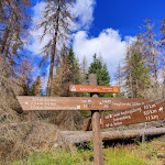 Photo n°2 de l'avis de Marcus.a fait le 31/08/2022 à 19:00 sur le  Hanskühnenburg à Bad Grund