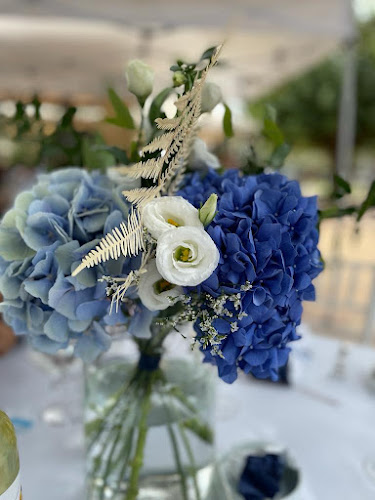 Δημ. Γούναρη 229, Γλυφάδα 166 74