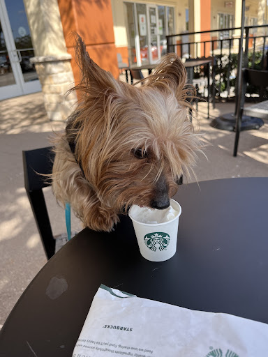 Pet Supply Store «Petco Animal Supplies», reviews and photos, 15895 Pines Blvd, Pembroke Pines, FL 33028, USA