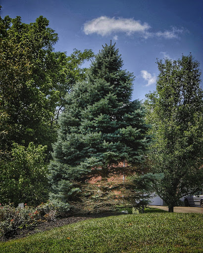 Park «Florence Nature Park», reviews and photos, 7200 Parkview Dr, Florence, KY 41042, USA