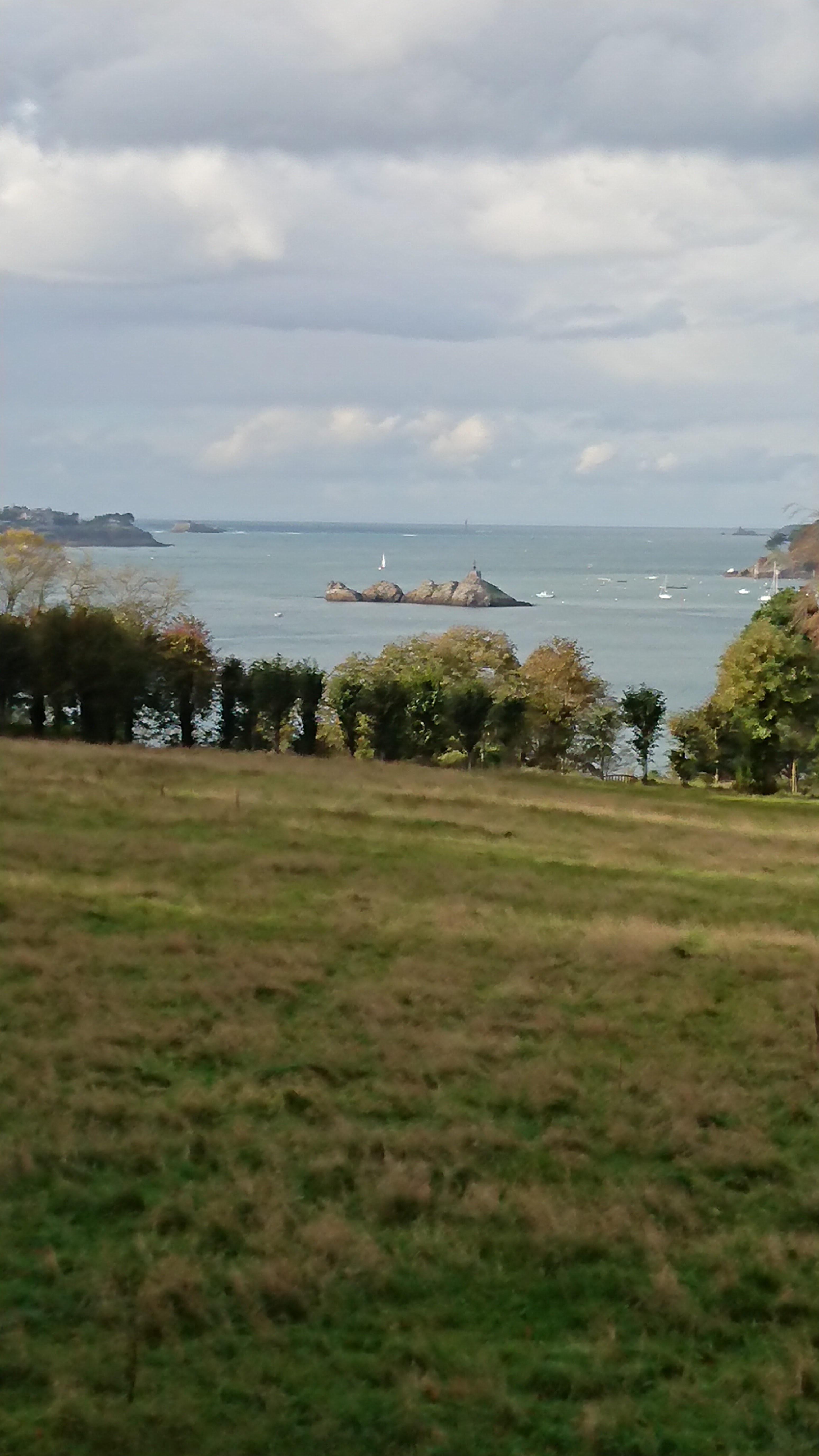 Photo n° 1 de l'avis de Cyrille.u fait le 25/10/2020 à 15:53