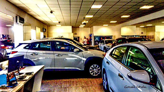 Mischl Hyundai - Pécs