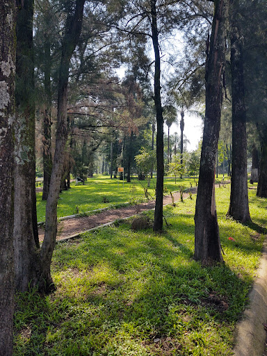 Parque la Calma