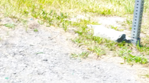 Racecourse «Dover International Speedway», reviews and photos, 1131 N Dupont Hwy, Dover, DE 19901, USA