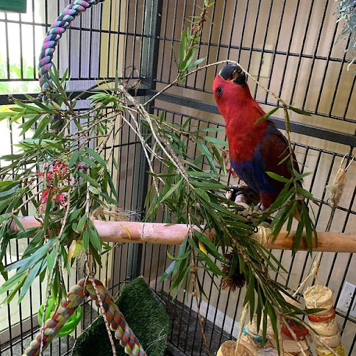 Pet Store «Pet Source 1901», reviews and photos, 1901 W 8th St B, Los Angeles, CA 90057, USA