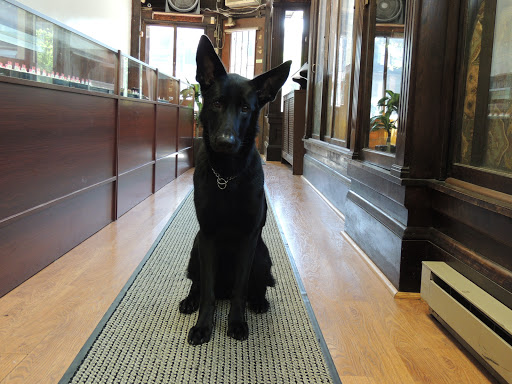 Pawn Shop «Sherman Loan Company-Pawn Shop & Jewelry», reviews and photos, 4 Freeman Sq, Lynn, MA 01901, USA