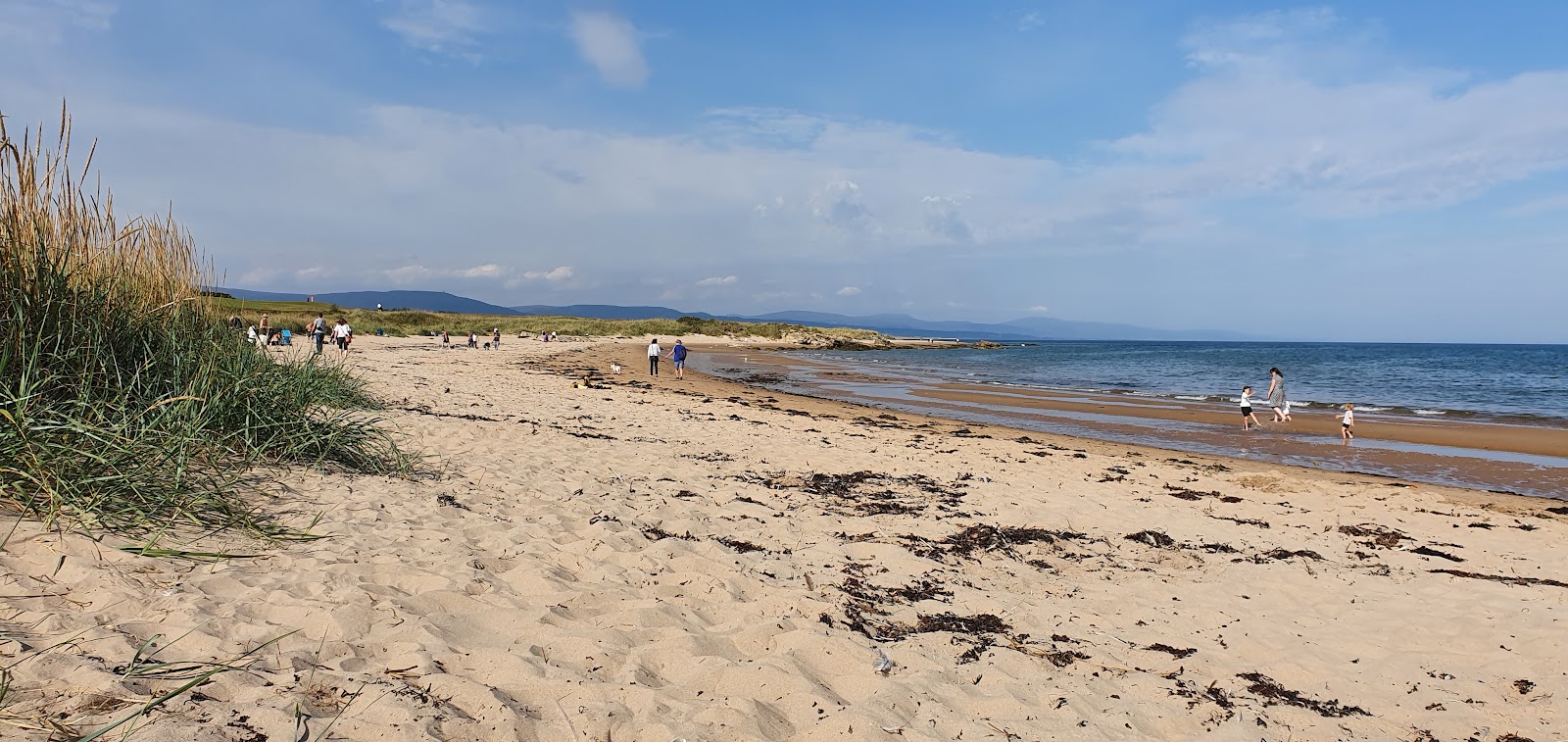 Fotografija Dornoch plaža z dolga ravna obala