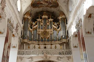 Abtei- Imkerei Amorbach image