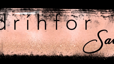 Dríhfor Salon 02828