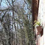 Photo n°5 de l'avis de Beate.e fait le 03/04/2022 à 16:38 sur le  Oste-Café Eitzmühlen à Selsingen