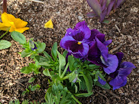 Manchester Chiropractic and Wellness Clinic - Photo 9 - Car repair in Norman, OK, Norman