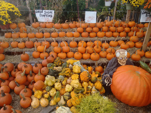 Produce Market «Hudson Farmers Market», reviews and photos, 3437 John F. Kennedy Blvd, Jersey City, NJ 07307, USA