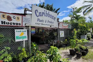 Caribbean Plants and Produce image