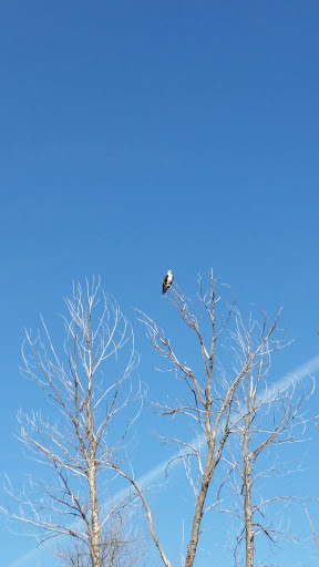 Park «Spring Meadow Lake State Park», reviews and photos, 930 Country Club Ave, Helena, MT 59620, USA