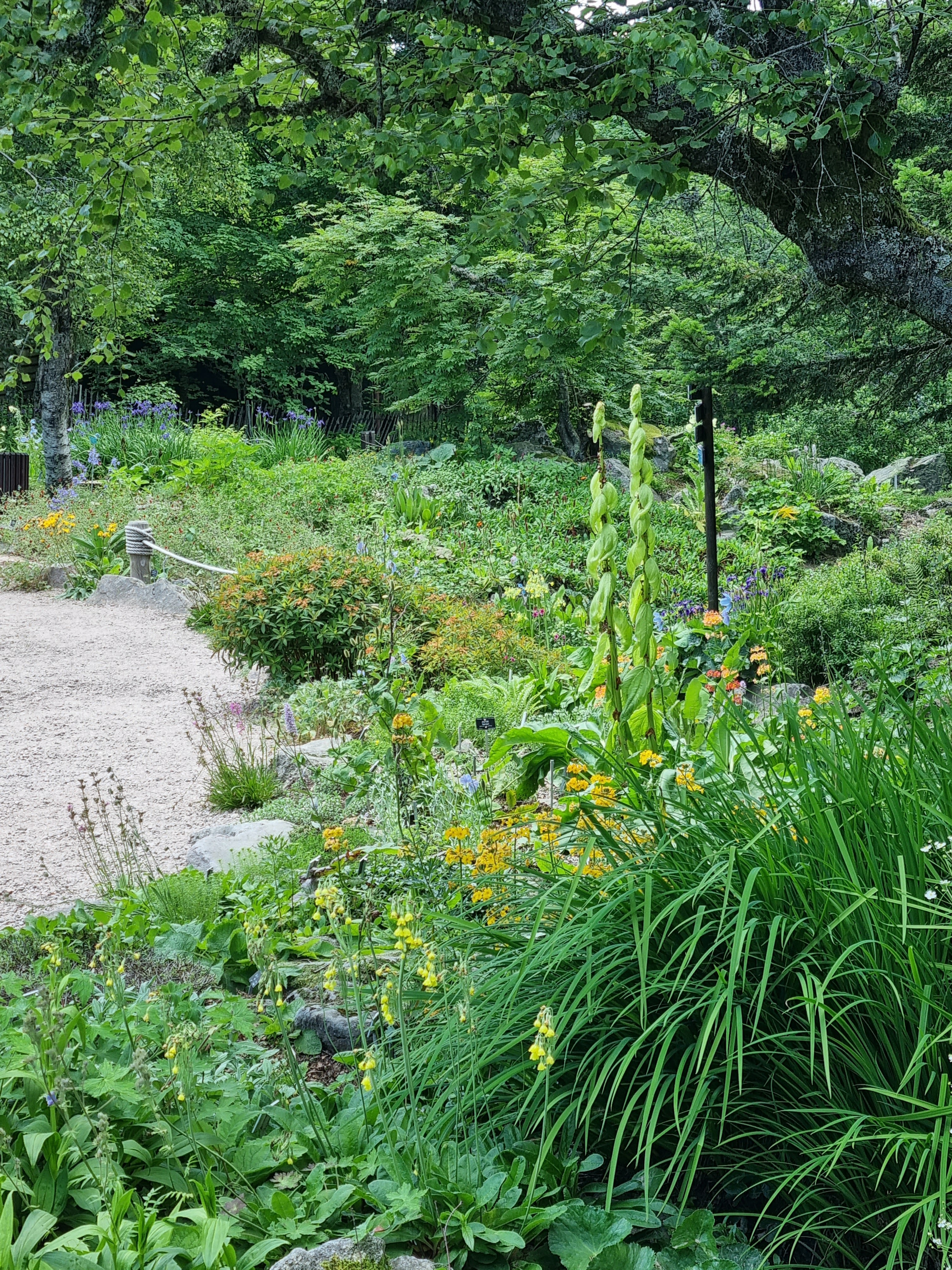 Photo n° 2 de l'avis de Frederic.i fait le 20/07/2021 à 11:39