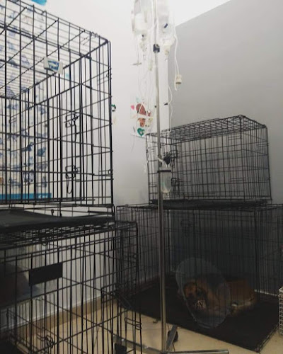 Κτηνιατρικό Κέντρο Κισάμου-Δημανοπούλου Αναστασία - Κίσσαμος