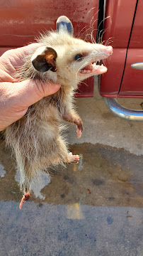 Stultz Services Inc - Photo 8 - Car repair in St Cloud, FL, Kissimmee