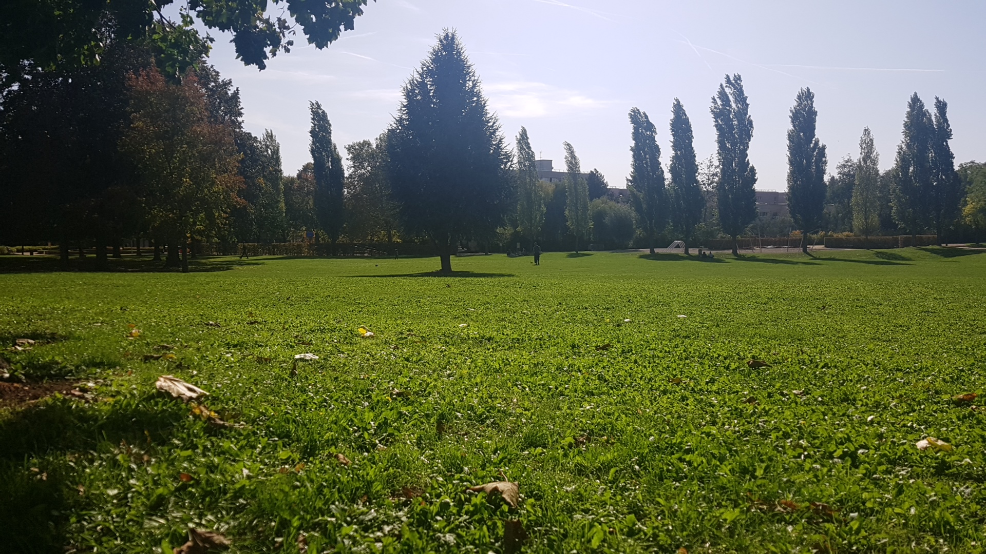Photo n° 1 de l'avis de Mégane. fait le 13/10/2019 à 10:42