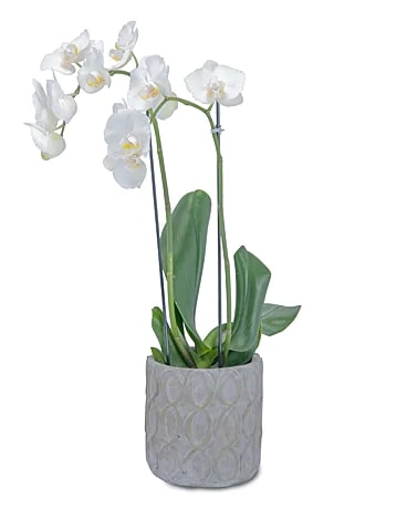 Florist «Redwood City Florist», reviews and photos, 440 Woodside Rd, Redwood City, CA 94061, USA