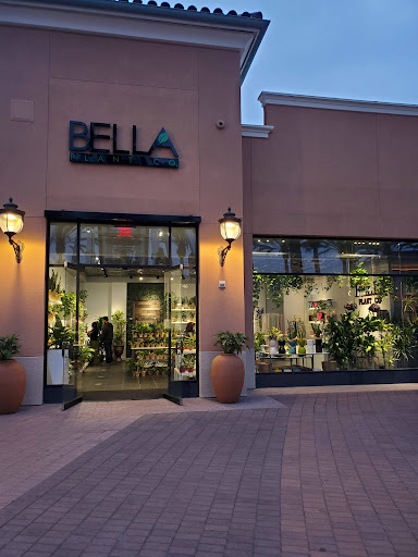 Bella Plant Company