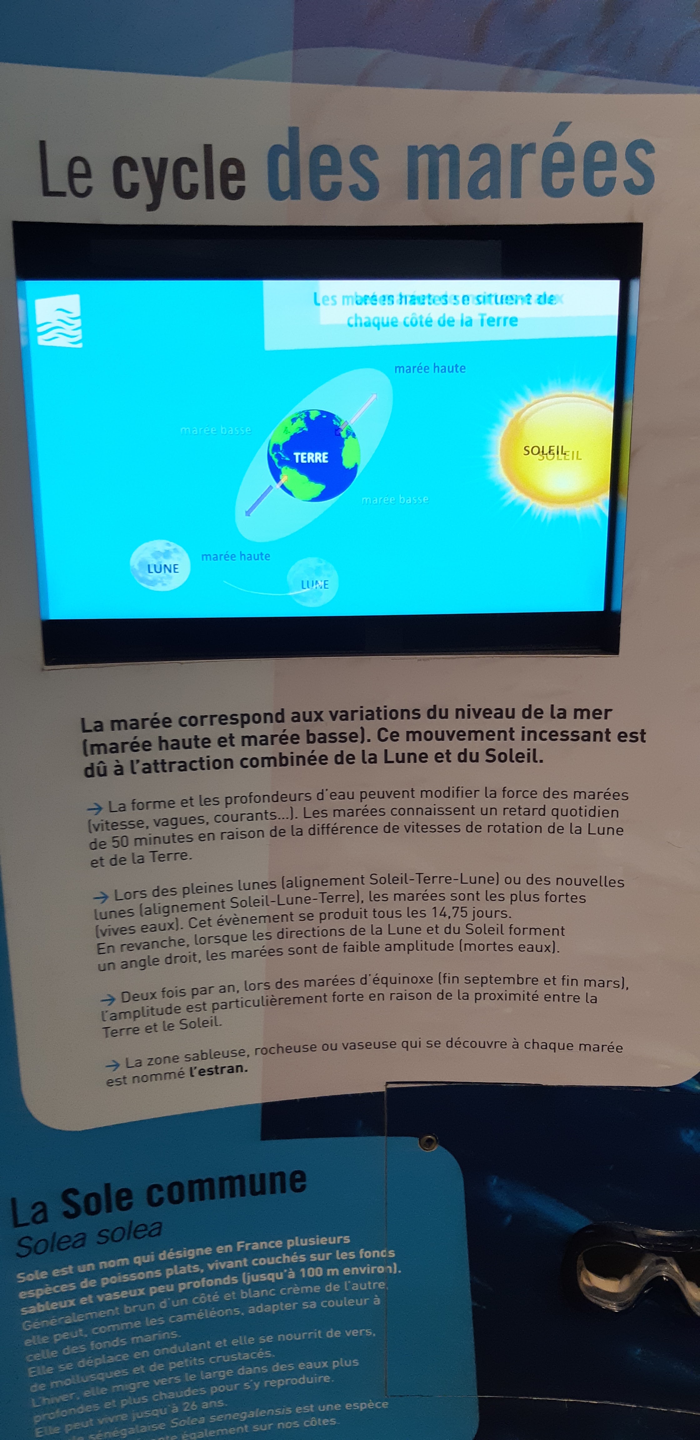 Photo n° 2 de l'avis de Yannick.a fait le 15/10/2018 à 10:38