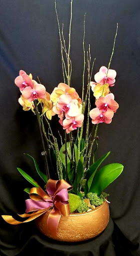Florist «A Touch Of Elegance Florist», reviews and photos, 12123 Shelbyville Rd, Louisville, KY 40243, USA