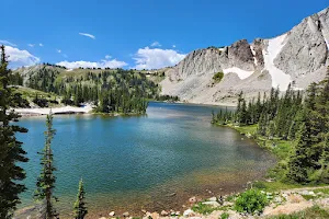 Medicine Bow-Routt National Forest image