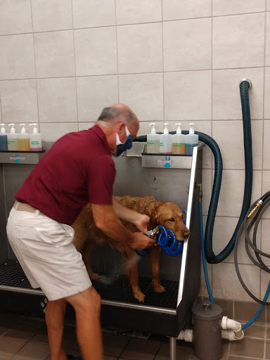 Pet Supply Store «Pet Supplies Plus», reviews and photos, 3177 Latta Rd #1, Greece, NY 14612, USA