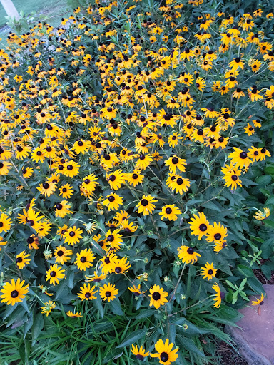 Park «Matzke Park», reviews and photos, 13110 Jones Rd, Houston, TX 77070, USA