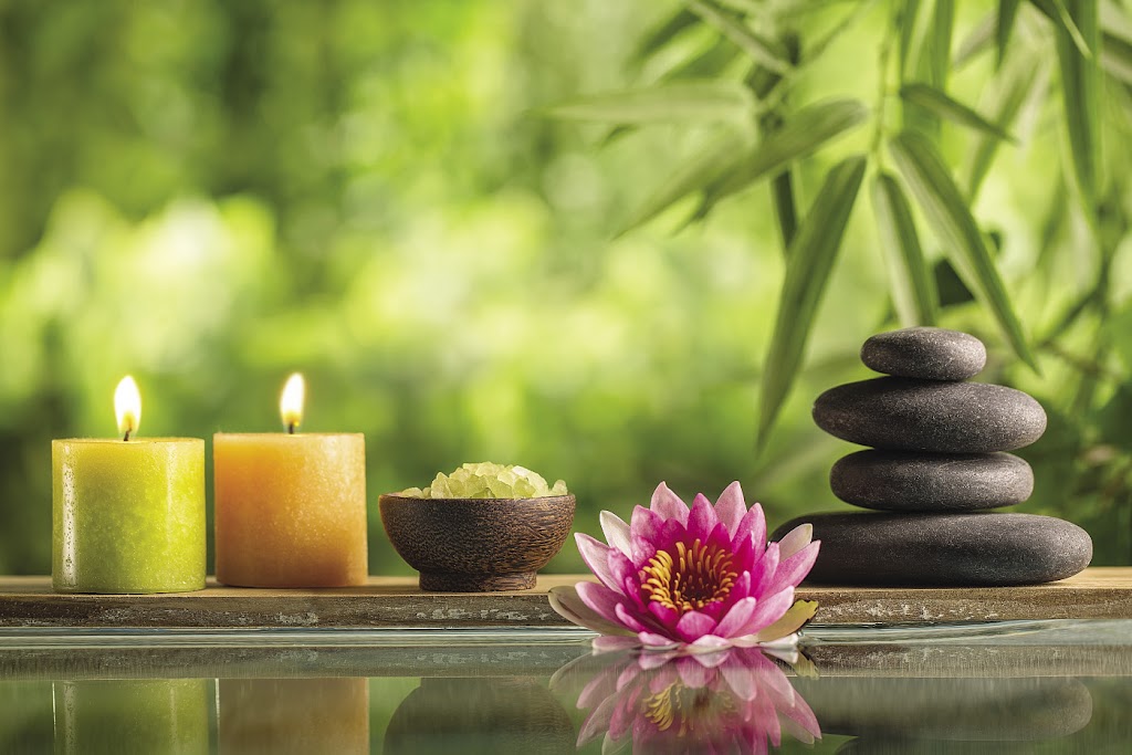 Next Level Energy Work & Massage Therapy 46637