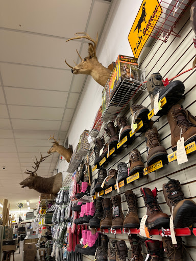 Sporting Goods Store «Hunters Gallery», reviews and photos, 237 Mt Cobb Hwy, Hamlin, PA 18427, USA