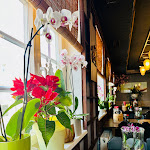 Photo n°3 de l'avis de Sara.a fait le 02/03/2024 à 16:54 sur le  Hasushi Restaurant à Ditzingen