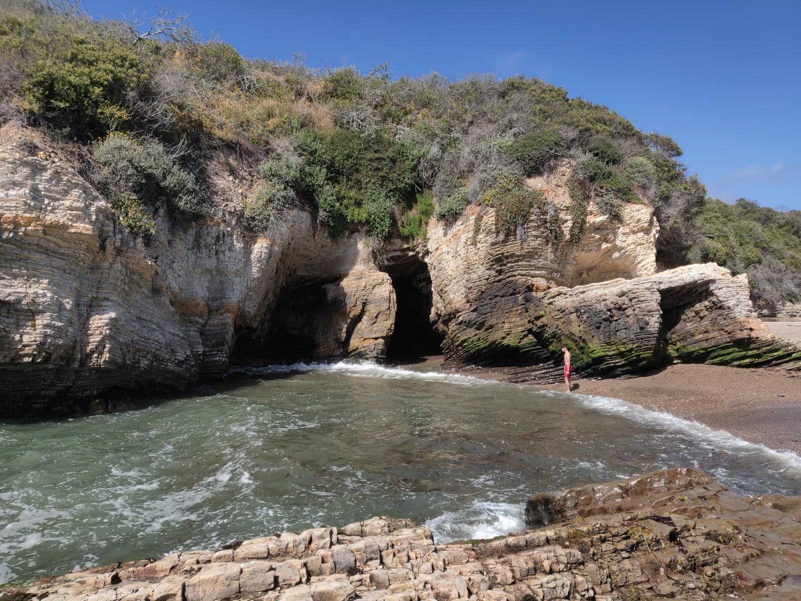 Spooner's Cove Beach'in fotoğrafı ve güzel manzarası
