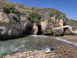Spooner's Cove Beach'in fotoğrafı ve güzel manzarası