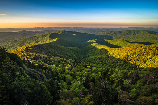 Real Estate Agency «Town And Mountain Realty», reviews and photos, 261 Asheland Ave #103, Asheville, NC 28801, USA