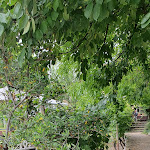 Photo n°4 de l'avis de Elke.e fait le 25/07/2021 à 16:32 sur le  Weinlokal Allendorf im Brentanohaus à Oestrich-Winkel