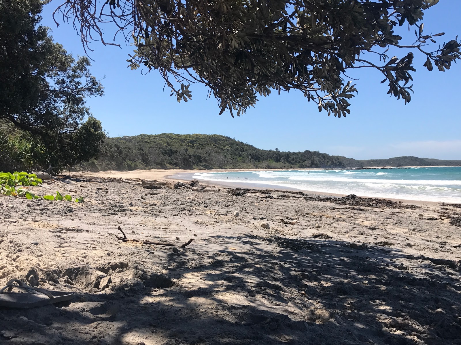 Foto von Diggers Camp Beach - beliebter Ort unter Entspannungskennern