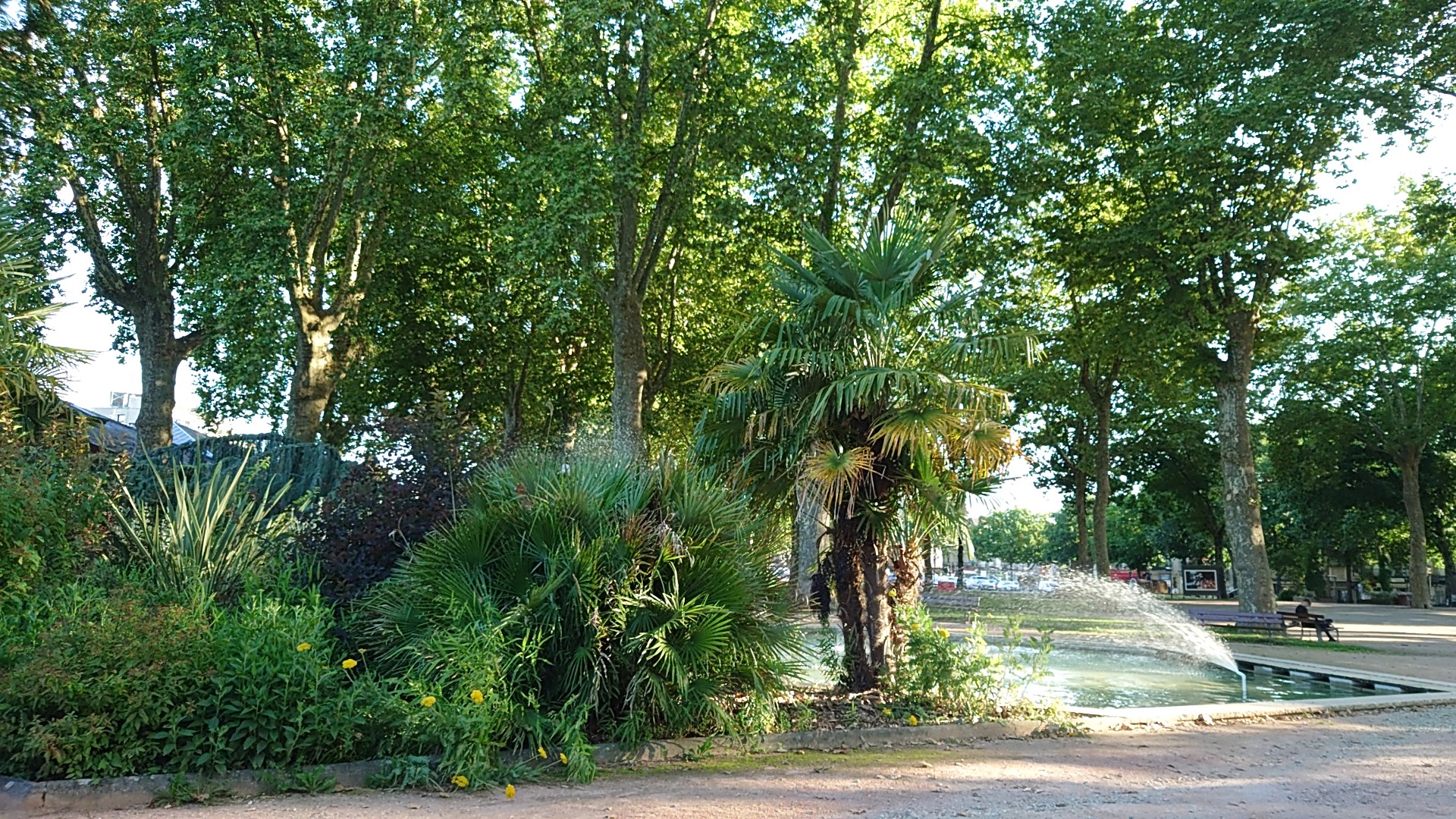 Photo n° 1 de l'avis de Jean-Luc.e fait le 03/07/2022 à 19:05
