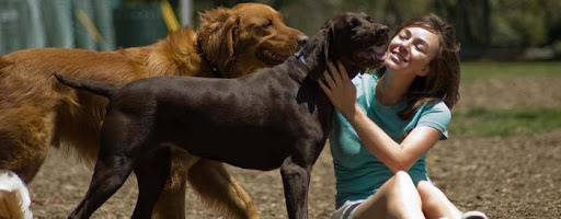 Barrington Bark Dog-Walking And Pet-Sitting