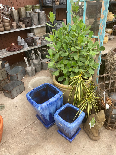 Plant Nursery «Goldner Walsh Garden and Home», reviews and photos, 559 Orchard Lake Rd, Pontiac, MI 48341, USA