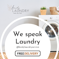 Landy Laundry Express Service