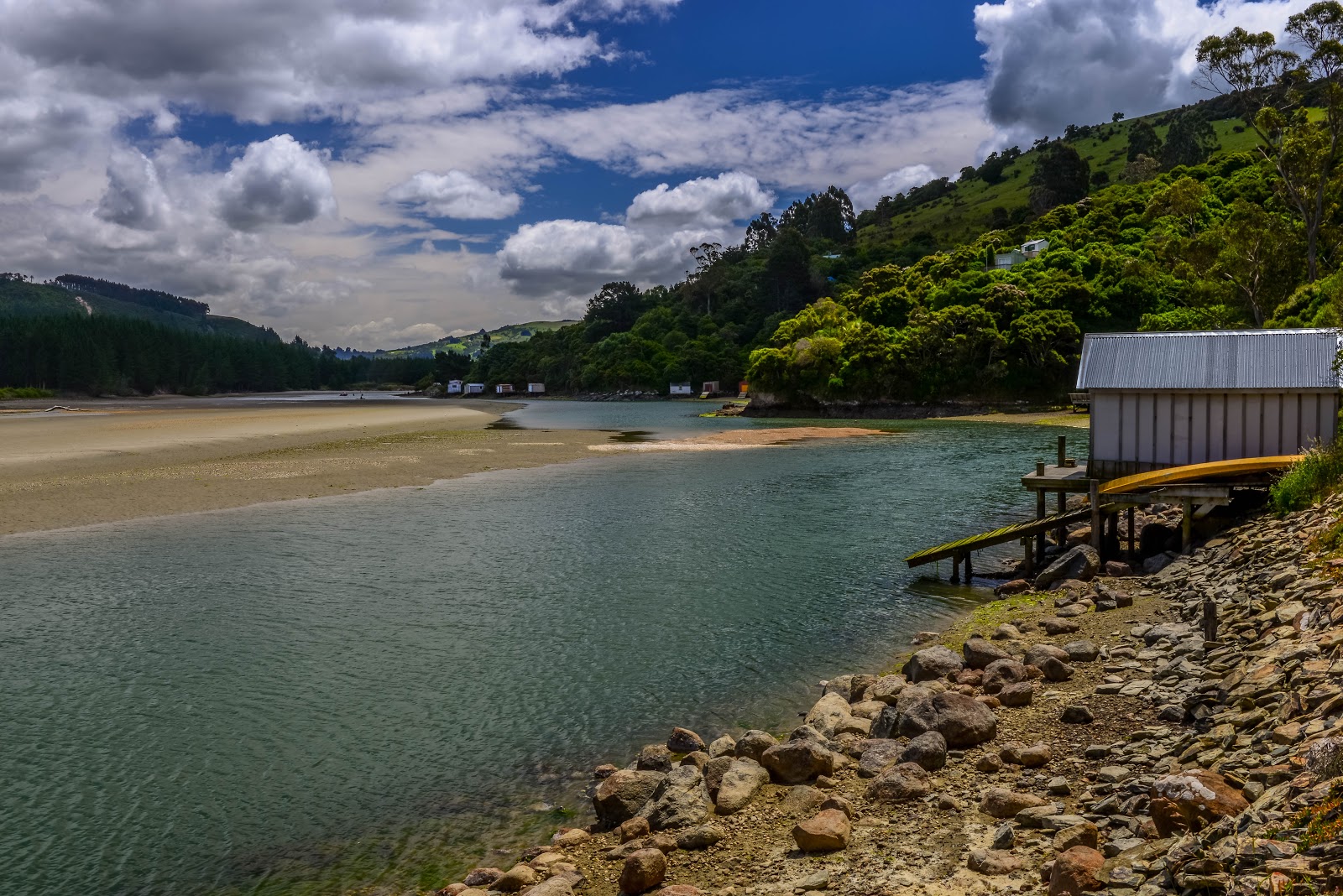 Purakaunui Beach'in fotoğrafı vahşi alan