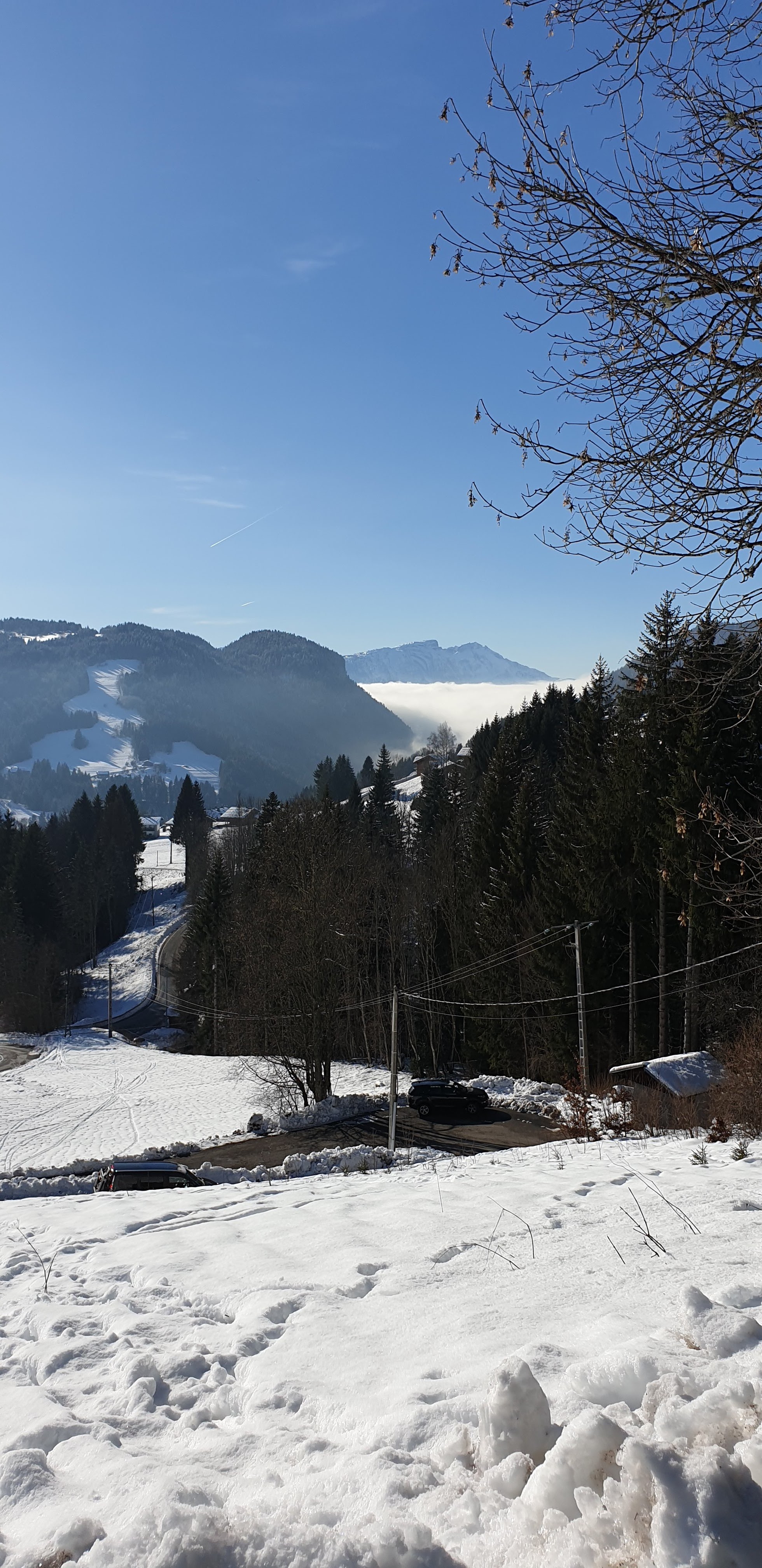 Photo n° 6 de l'avis de Maryline.l fait le 30/12/2019 à 15:26